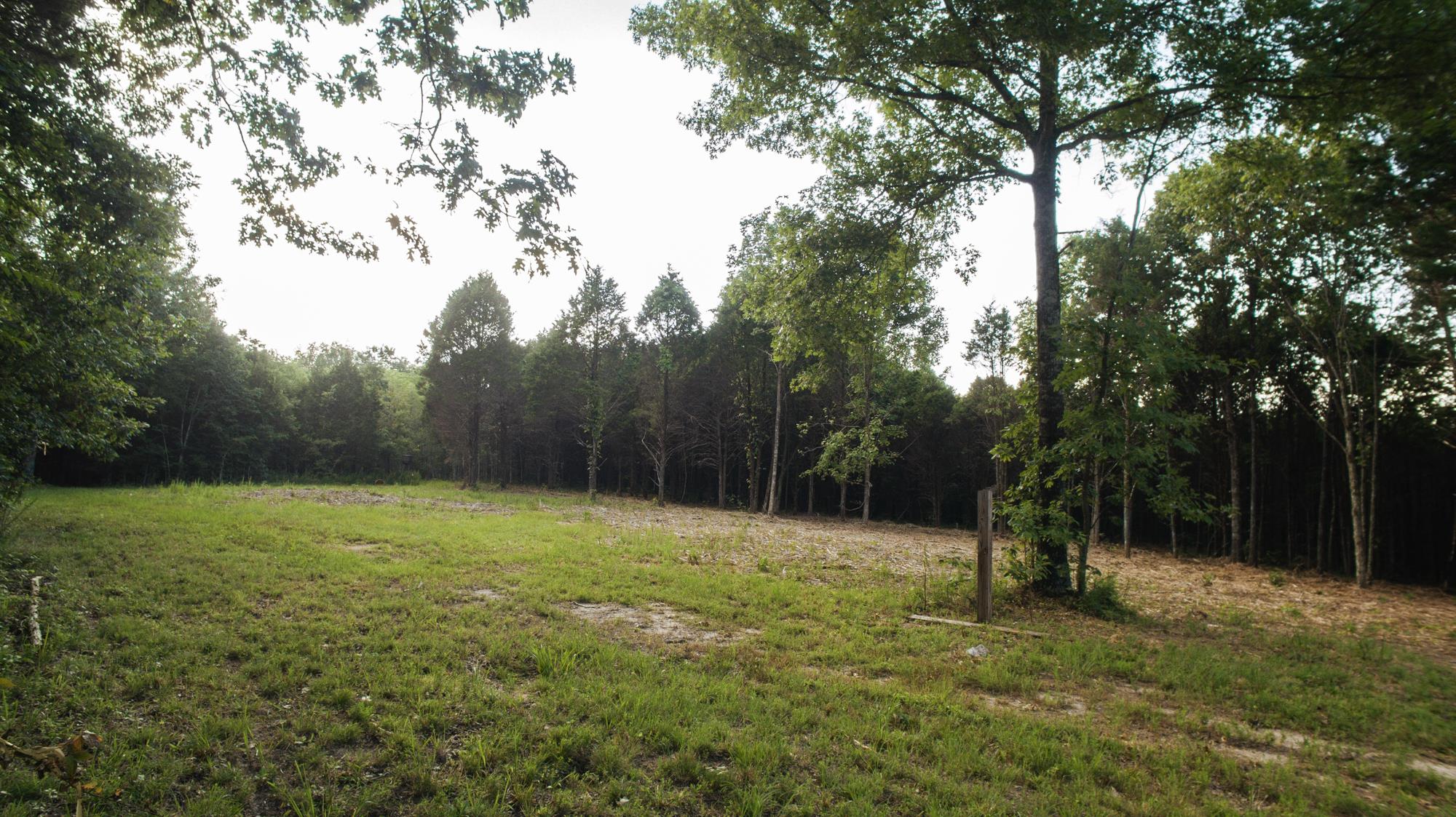 5036 Chicken Road Lebanon, TN 37090 - Photo 4 of 28 Gallery Image 4