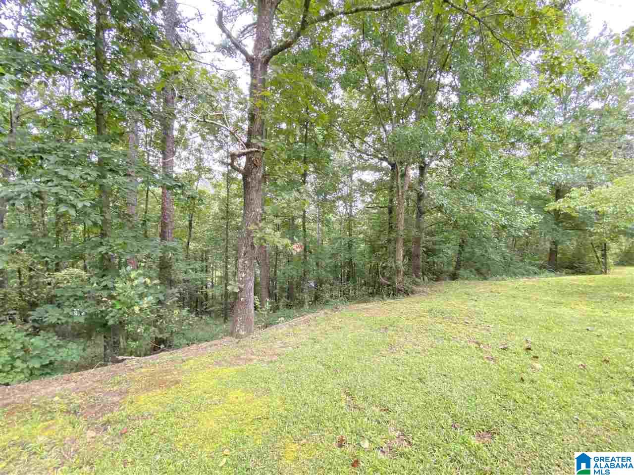 4169 Cook Springs Road Pell City, AL 35125 - Photo 5 of 35