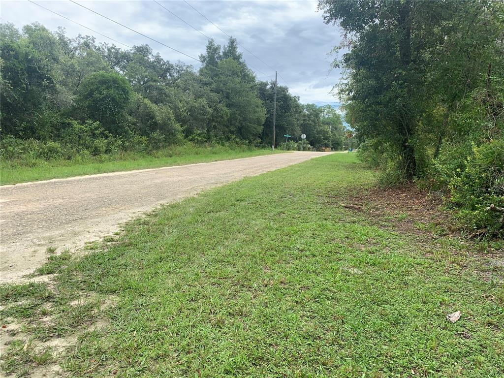 35314 Goethals Street Webster, FL 33597 - Photo 8 of 9