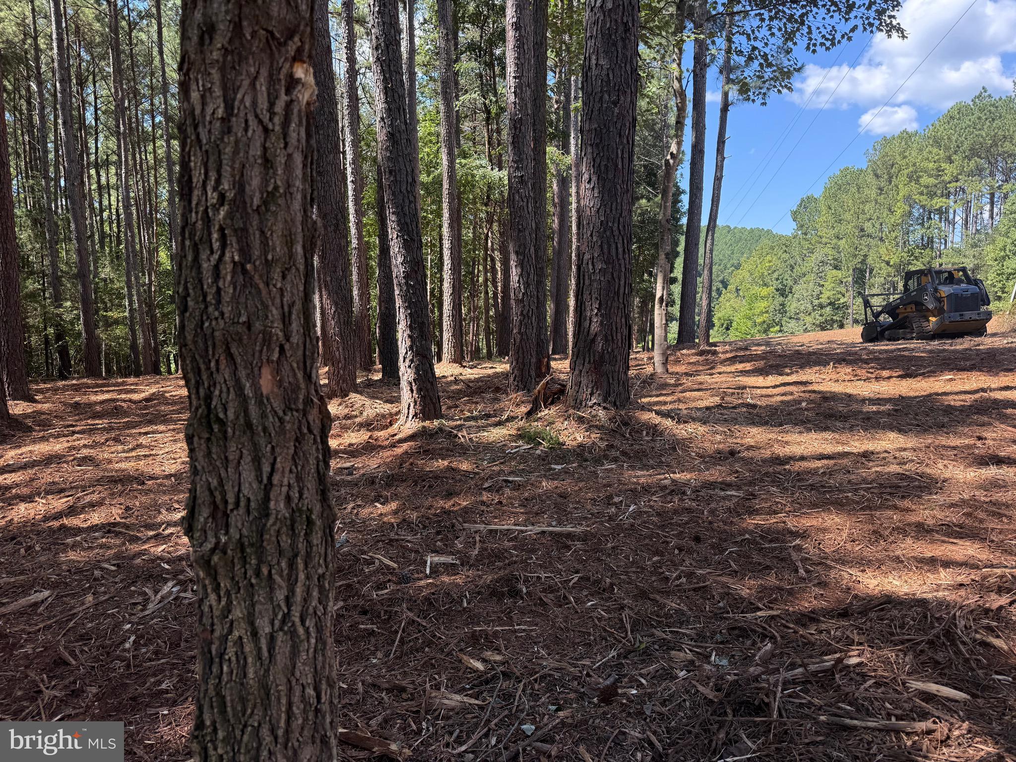 0 Old Green Mountain Road Esmont, VA 22937 - Photo 11 of 51