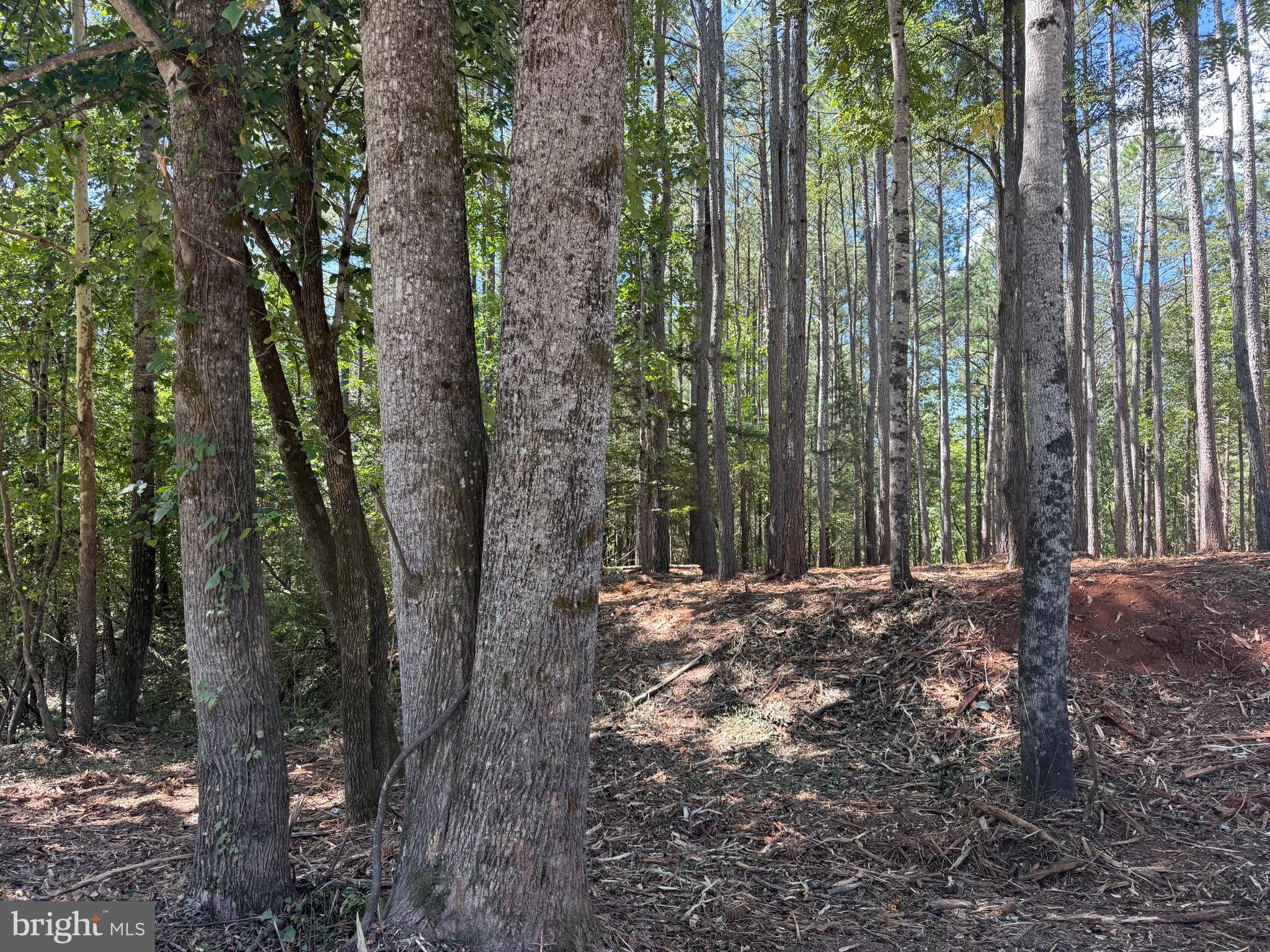 0 Old Green Mountain Road Esmont, VA 22937 - Photo 12 of 51