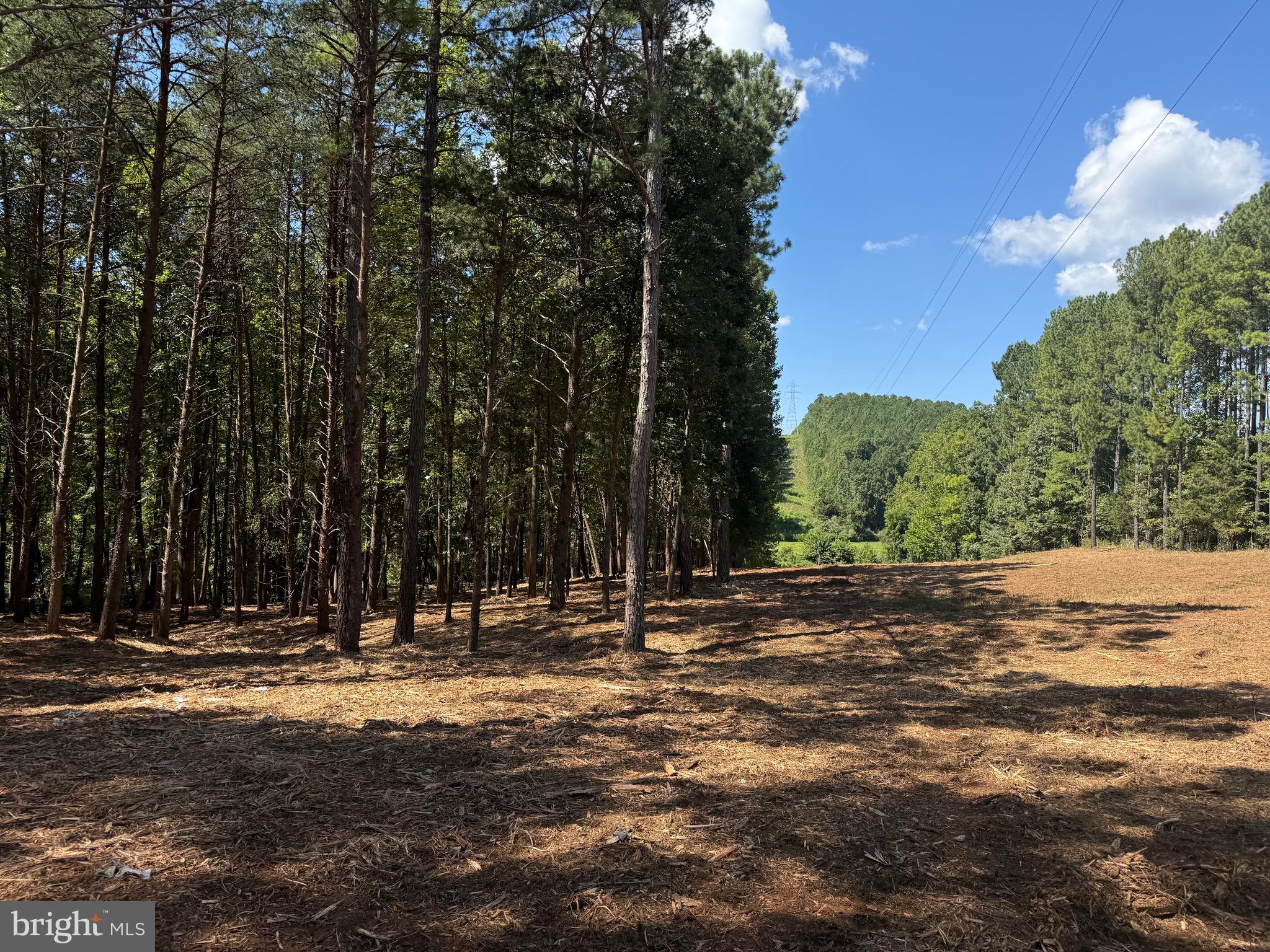 0 Old Green Mountain Road Esmont, VA 22937 - Photo 14 of 51