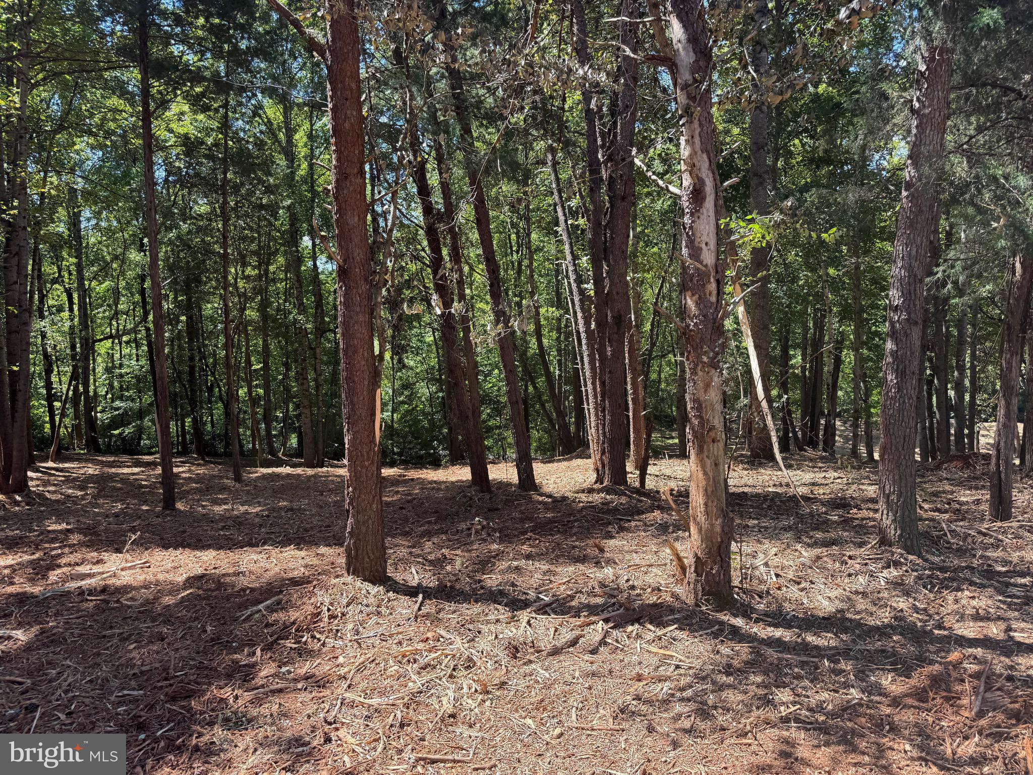 0 Old Green Mountain Road Esmont, VA 22937 - Photo 16 of 51