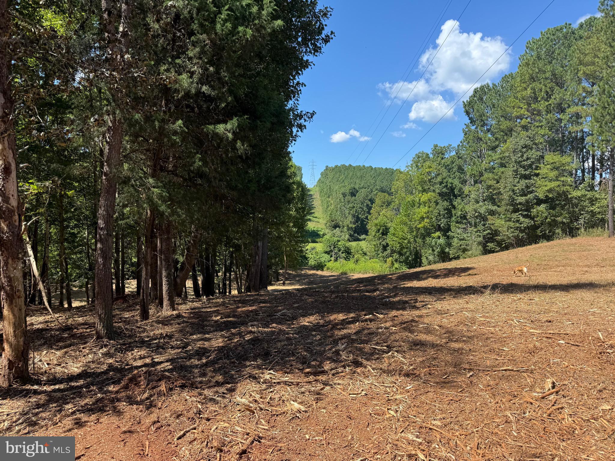 0 Old Green Mountain Road Esmont, VA 22937 - Photo 17 of 51