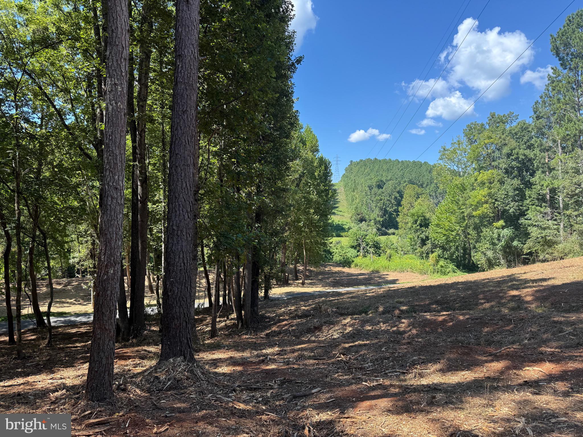 0 Old Green Mountain Road Esmont, VA 22937 - Photo 18 of 51