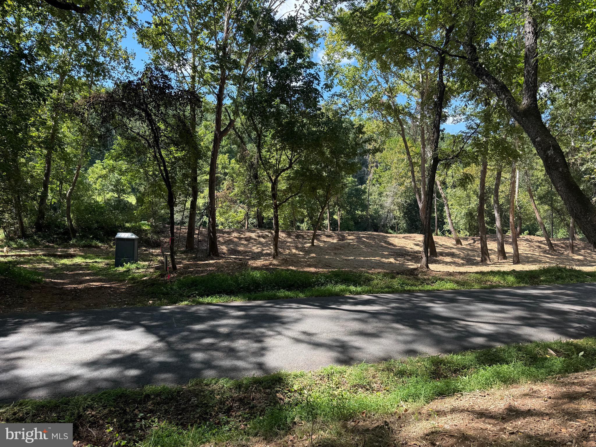 0 Old Green Mountain Road Esmont, VA 22937 - Photo 19 of 51