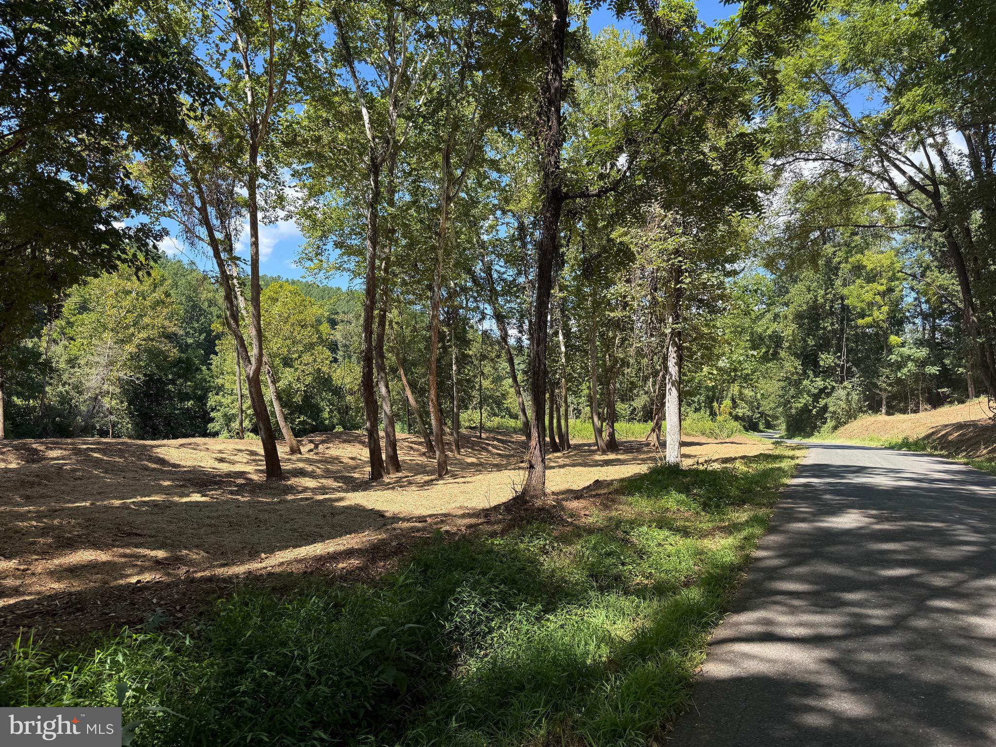 0 Old Green Mountain Road Esmont, VA 22937 - Photo 20 of 51