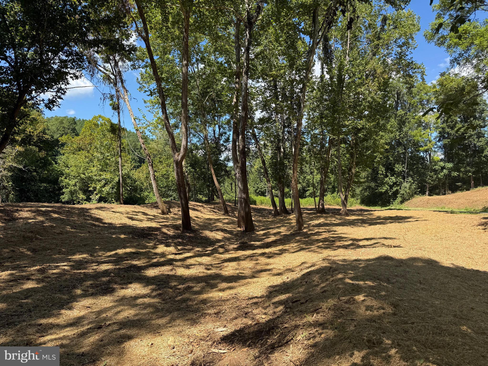 0 Old Green Mountain Road Esmont, VA 22937 - Photo 21 of 51