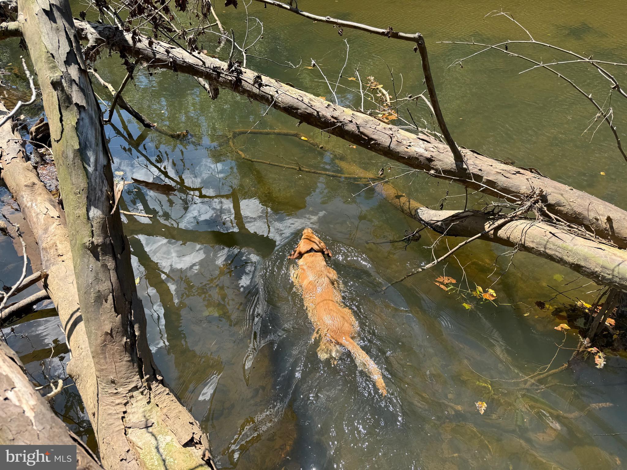 0 Old Green Mountain Road Esmont, VA 22937 - Photo 25 of 51