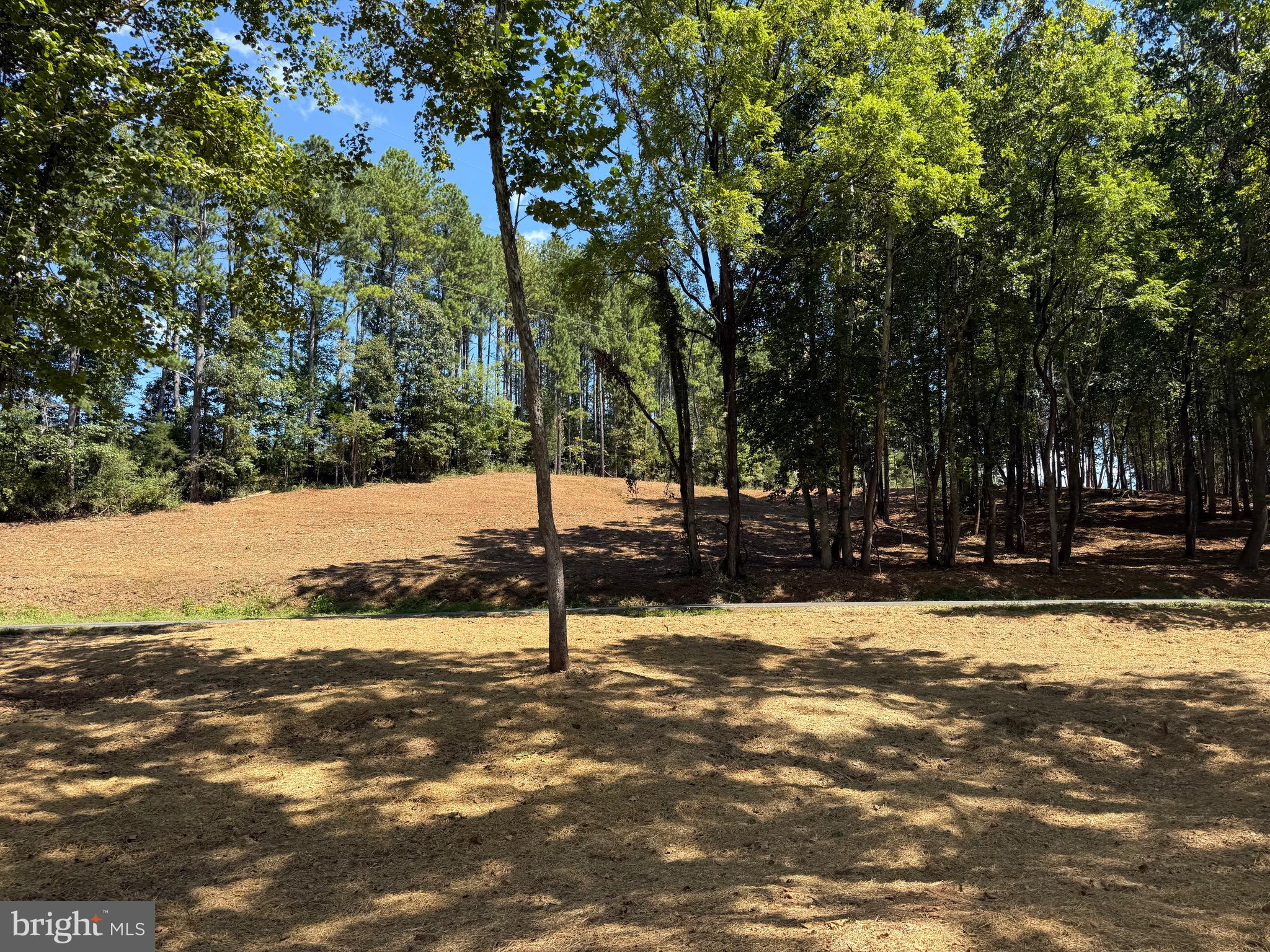 0 Old Green Mountain Road Esmont, VA 22937 - Photo 26 of 51