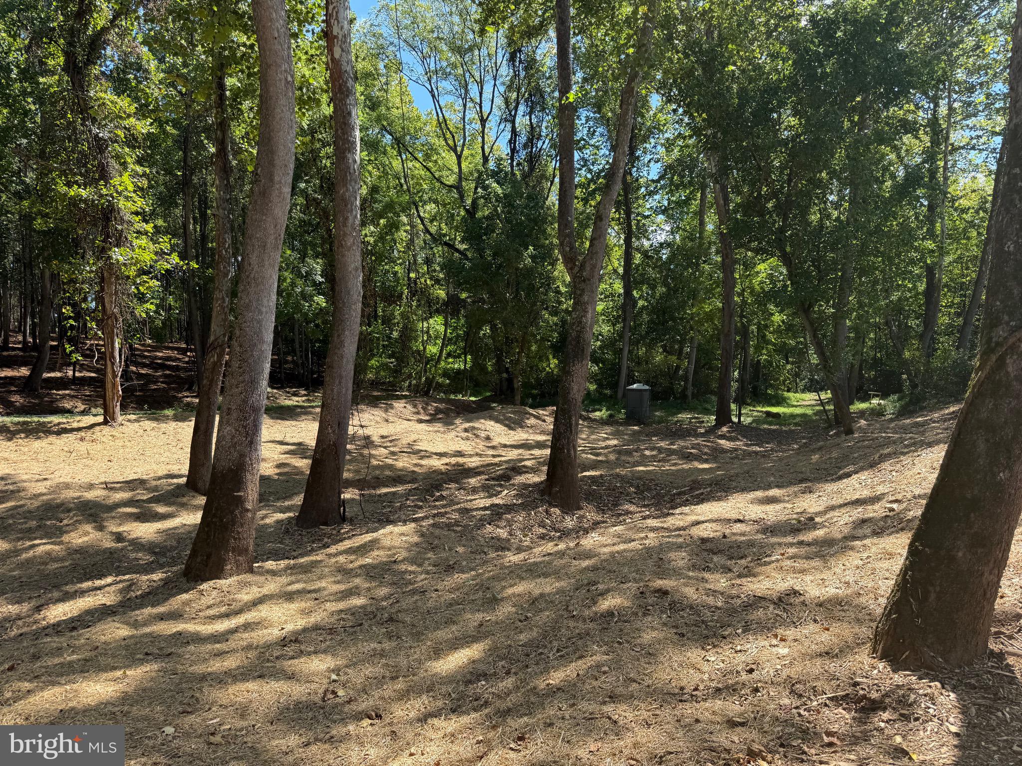 0 Old Green Mountain Road Esmont, VA 22937 - Photo 27 of 51