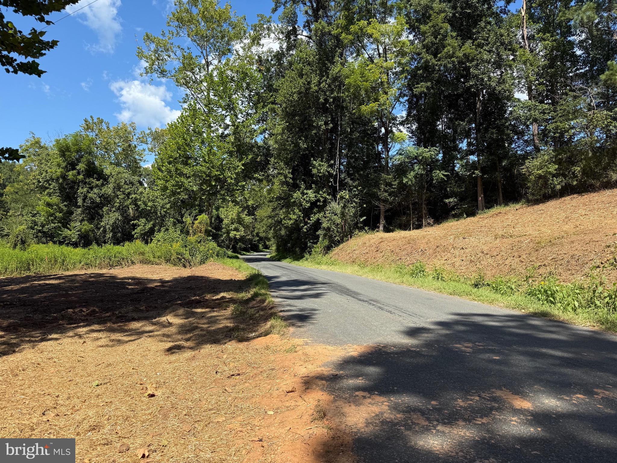 0 Old Green Mountain Road Esmont, VA 22937 - Photo 28 of 51