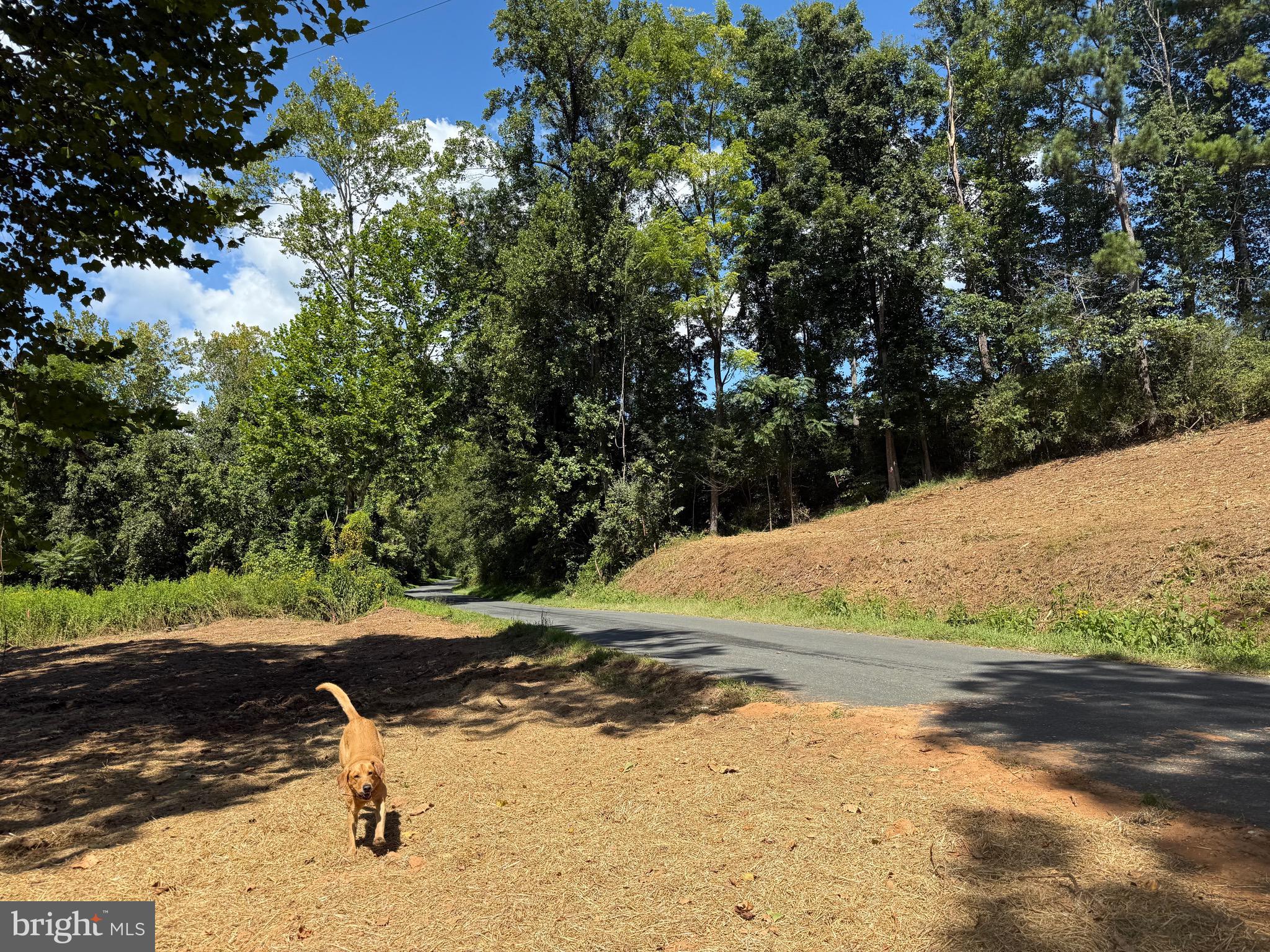 0 Old Green Mountain Road Esmont, VA 22937 - Photo 29 of 51