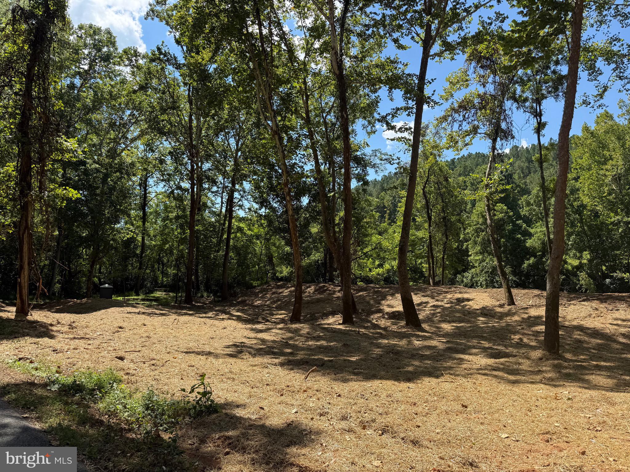 0 Old Green Mountain Road Esmont, VA 22937 - Photo 30 of 51