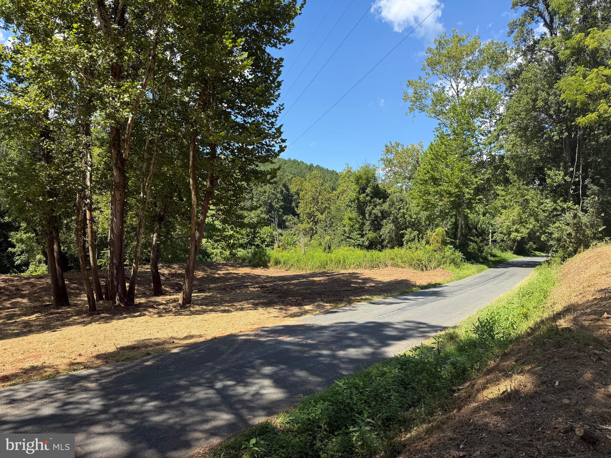 0 Old Green Mountain Road Esmont, VA 22937 - Photo 31 of 51