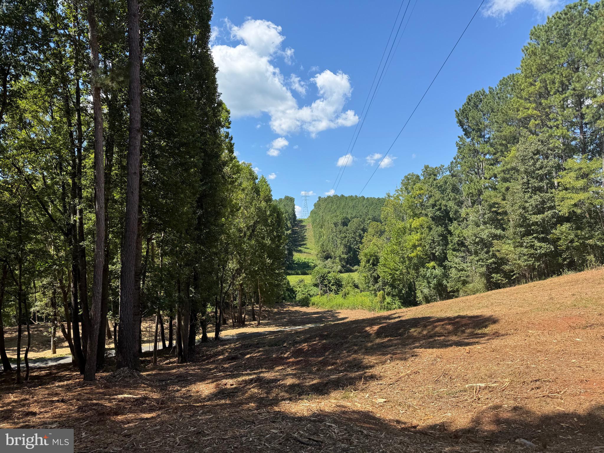 0 Old Green Mountain Road Esmont, VA 22937 - Photo 32 of 51
