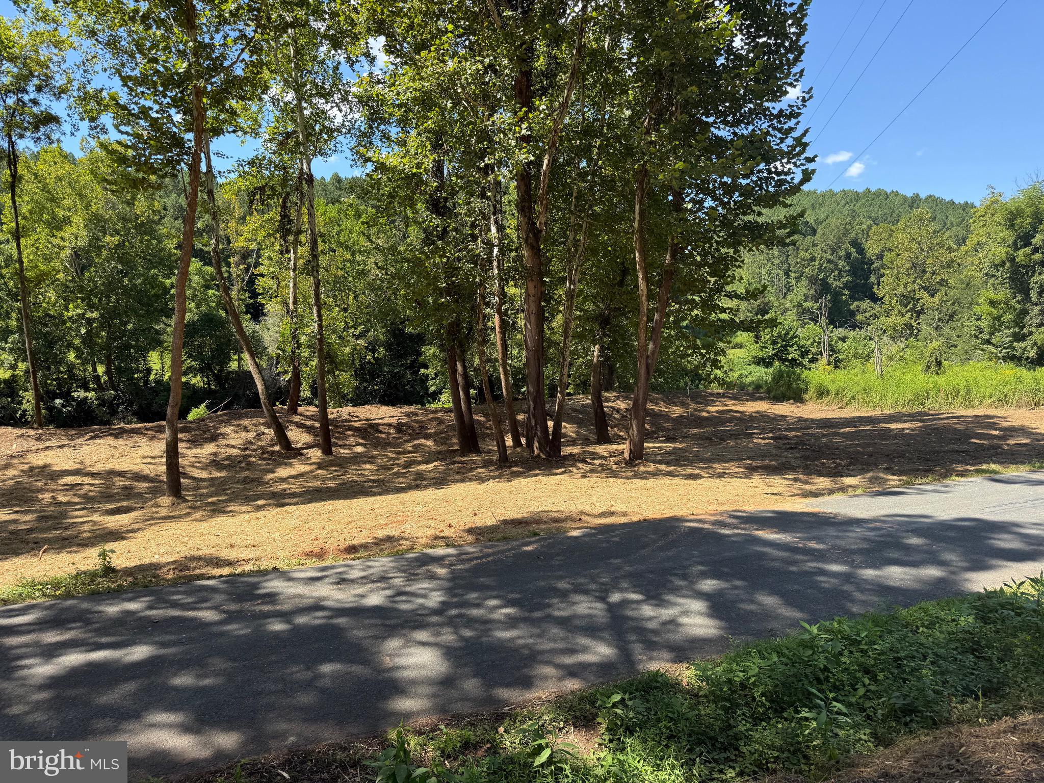 0 Old Green Mountain Road Esmont, VA 22937 - Photo 33 of 51