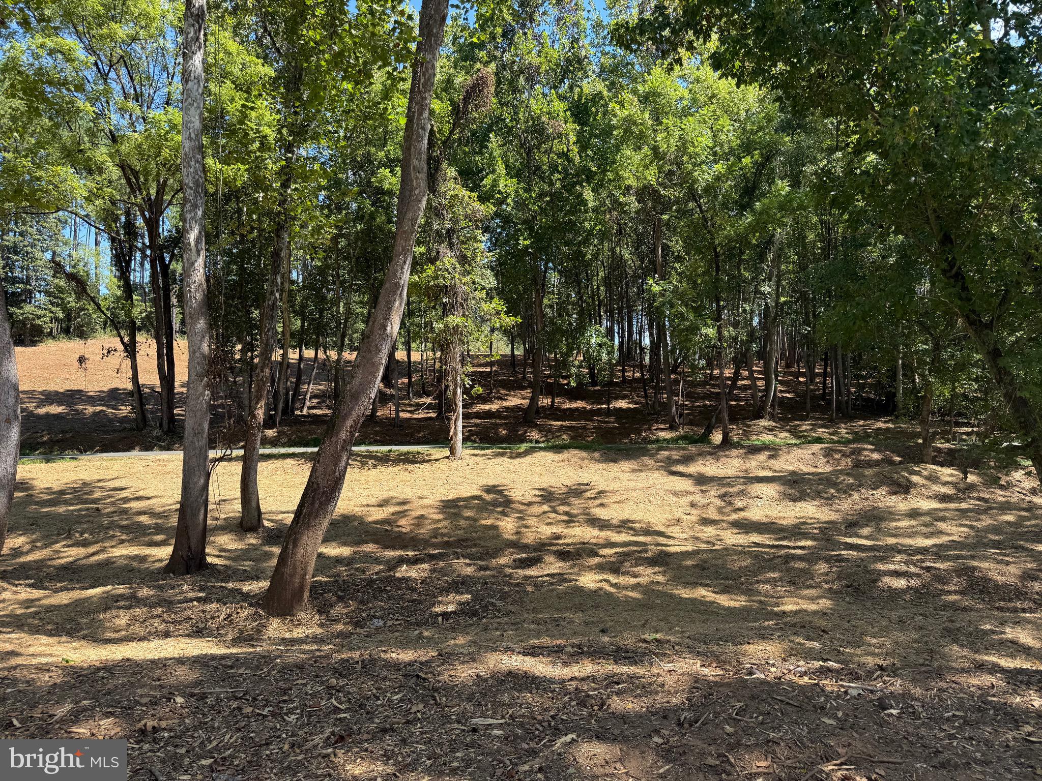 0 Old Green Mountain Road Esmont, VA 22937 - Photo 36 of 51