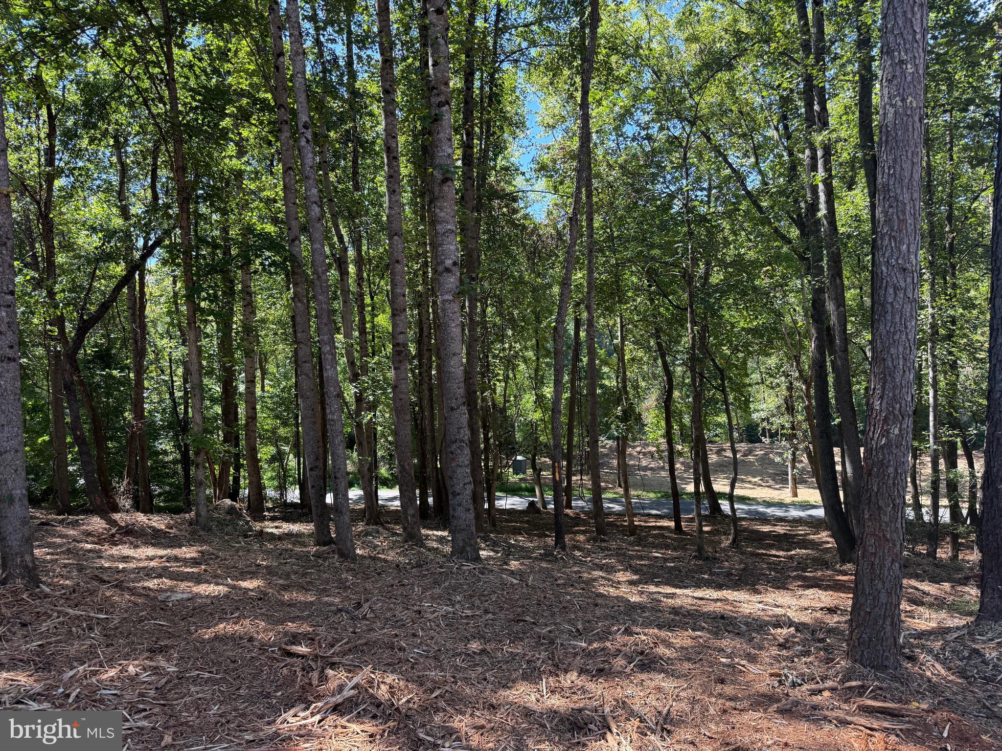 0 Old Green Mountain Road Esmont, VA 22937 - Photo 38 of 51