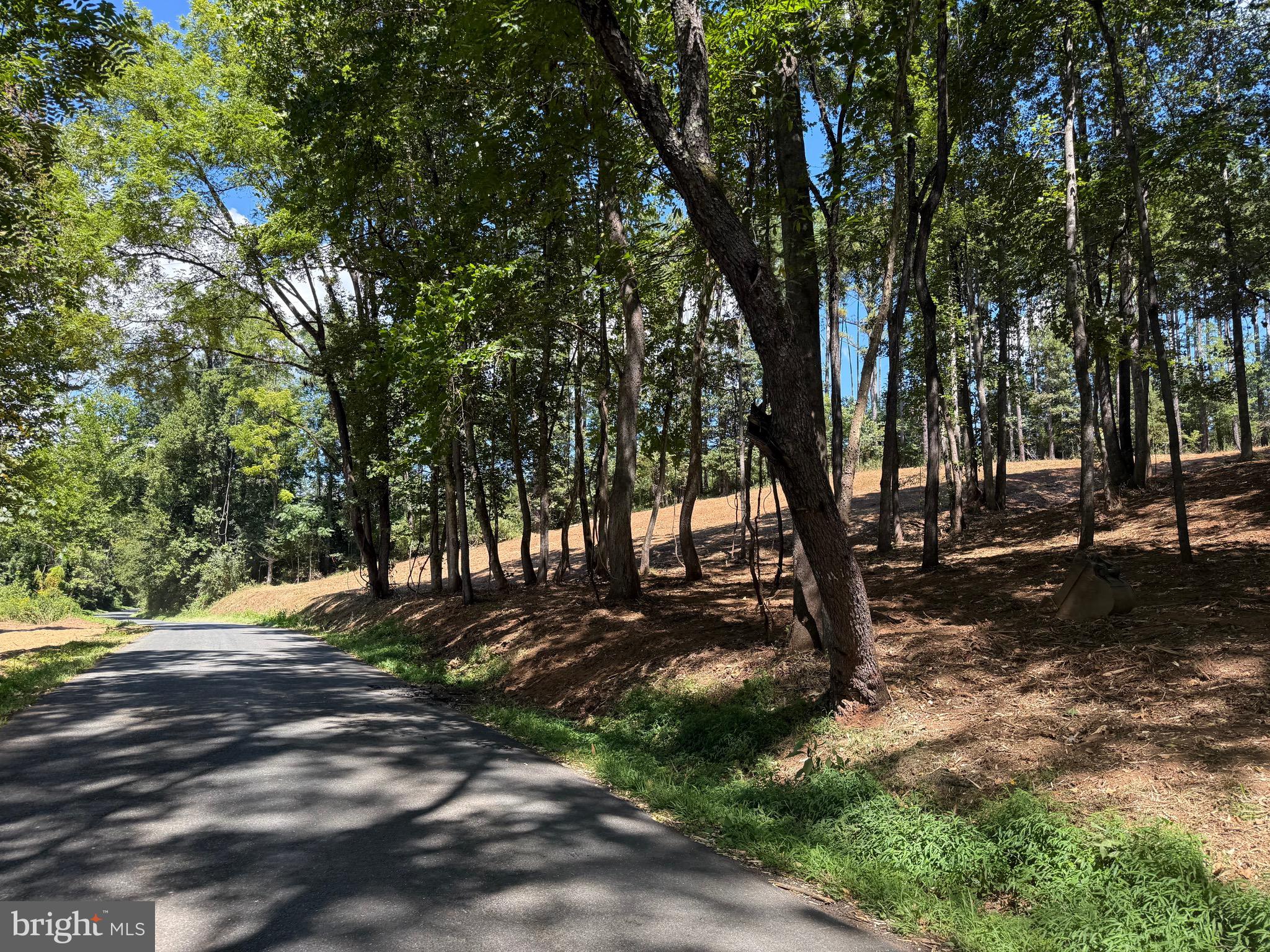 0 Old Green Mountain Road Esmont, VA 22937 - Photo 40 of 51