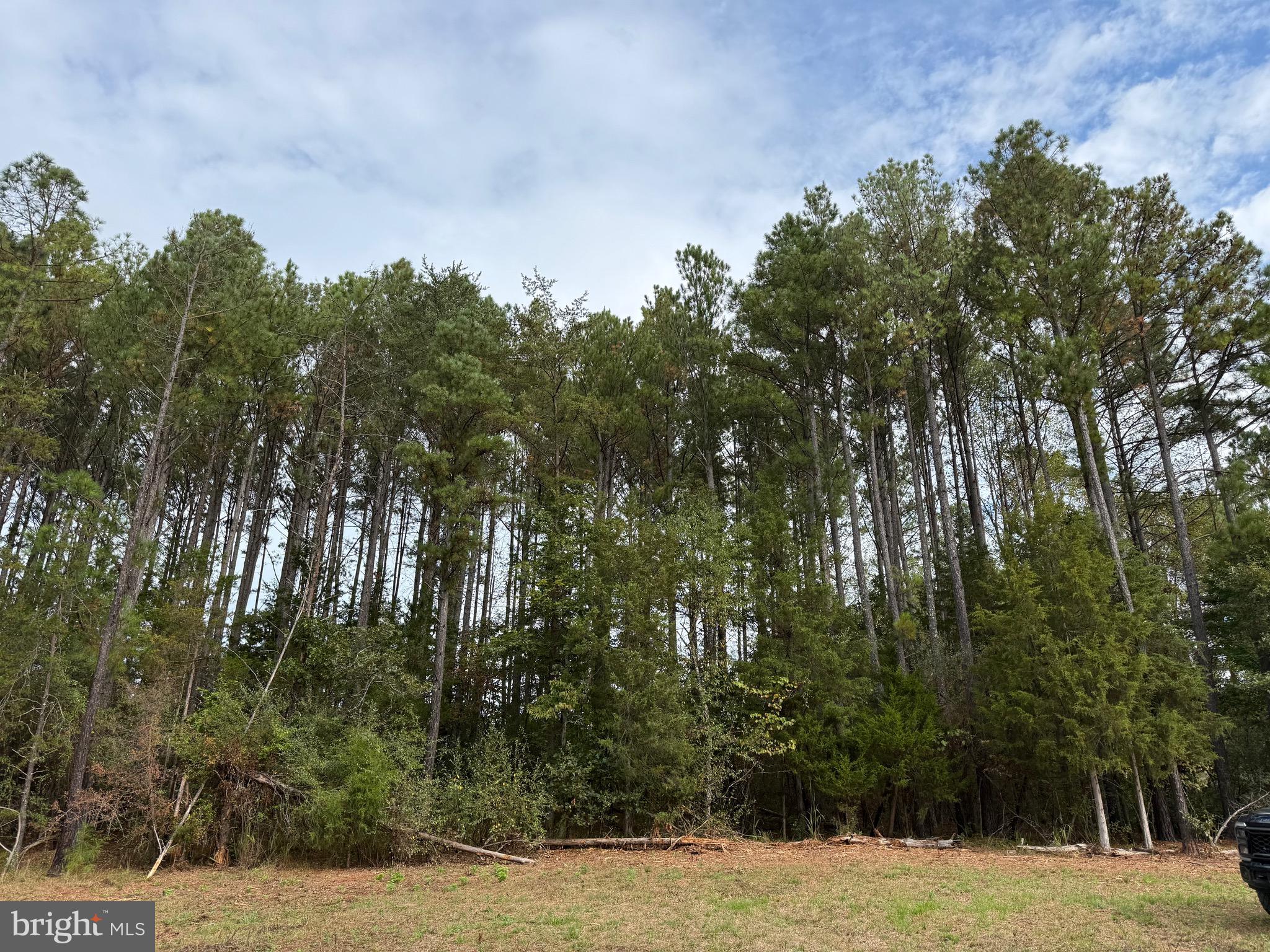 0 Old Green Mountain Road Esmont, VA 22937 - Photo 4 of 51