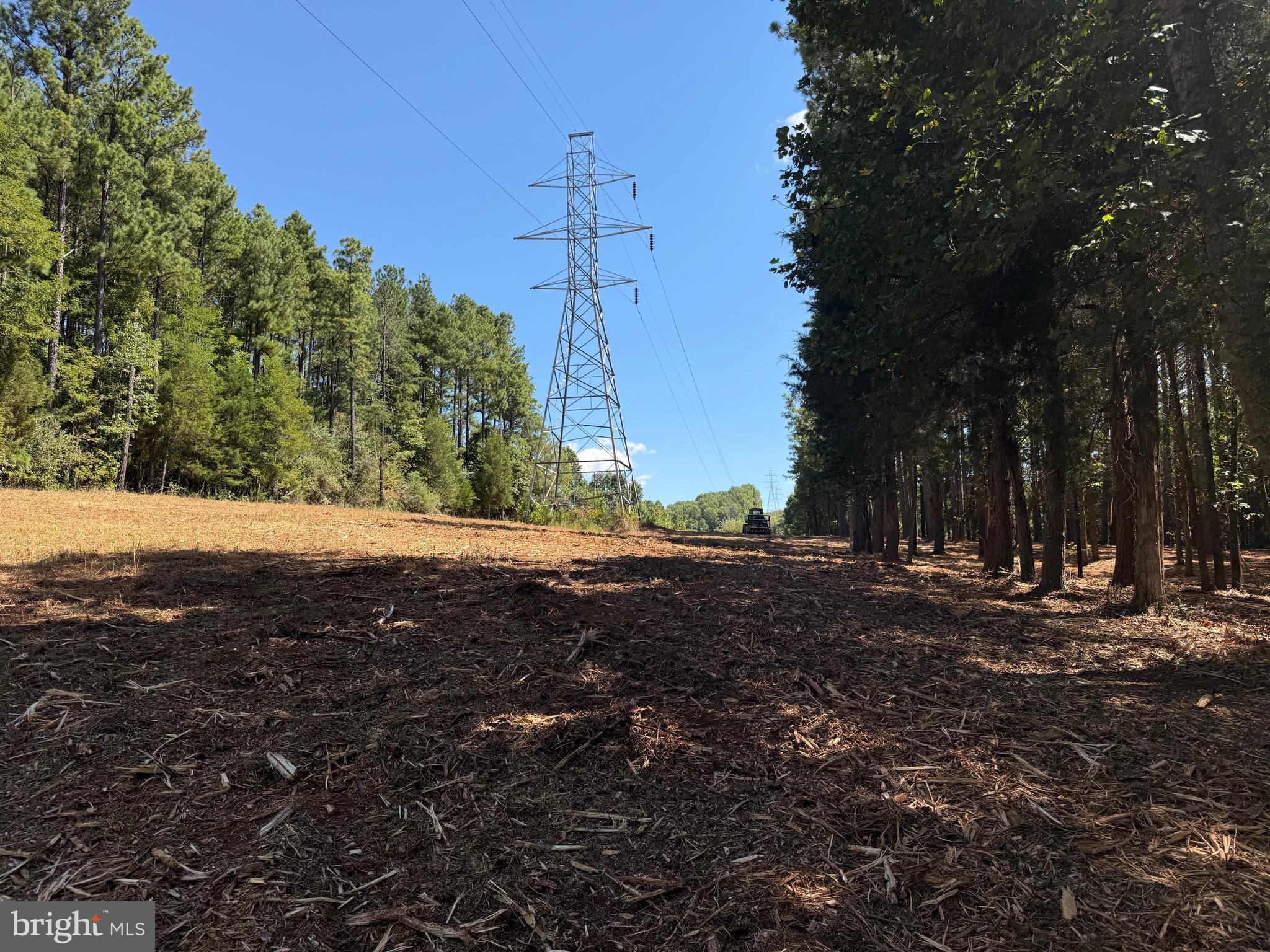 0 Old Green Mountain Road Esmont, VA 22937 - Photo 41 of 51