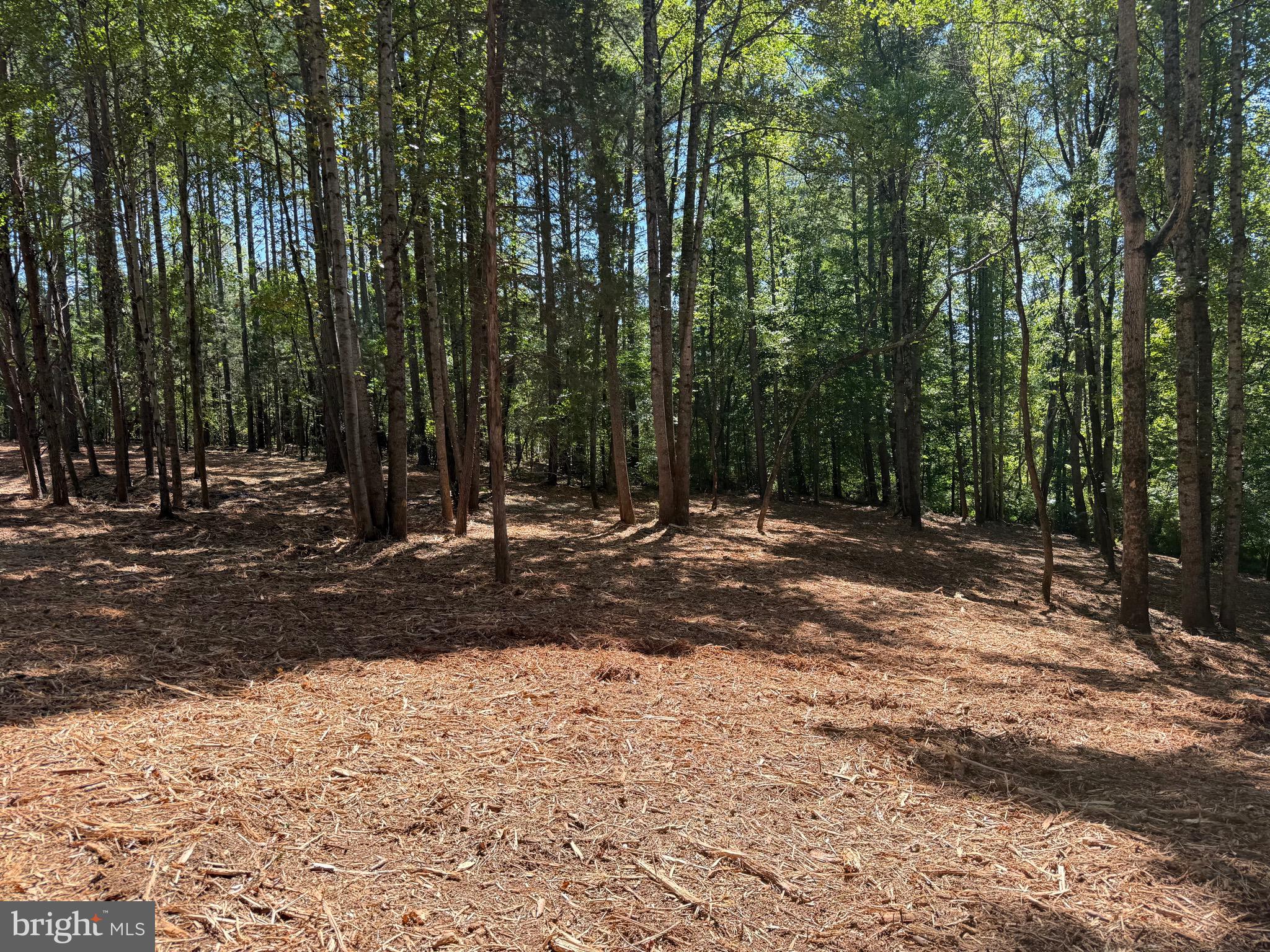 0 Old Green Mountain Road Esmont, VA 22937 - Photo 42 of 51