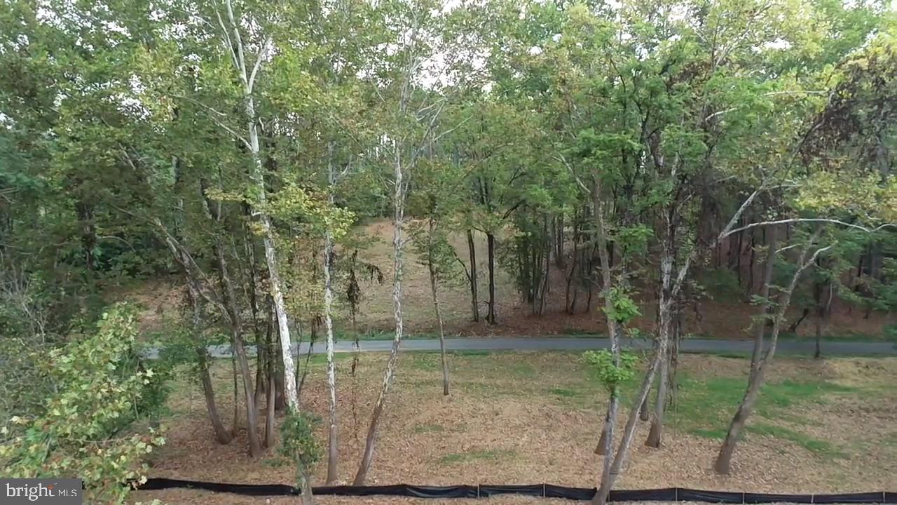 0 Old Green Mountain Road Esmont, VA 22937 - Photo 46 of 51