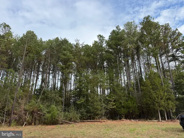 $99,000 | 0 Old Green Mountain Road, Esmont, VA 22937