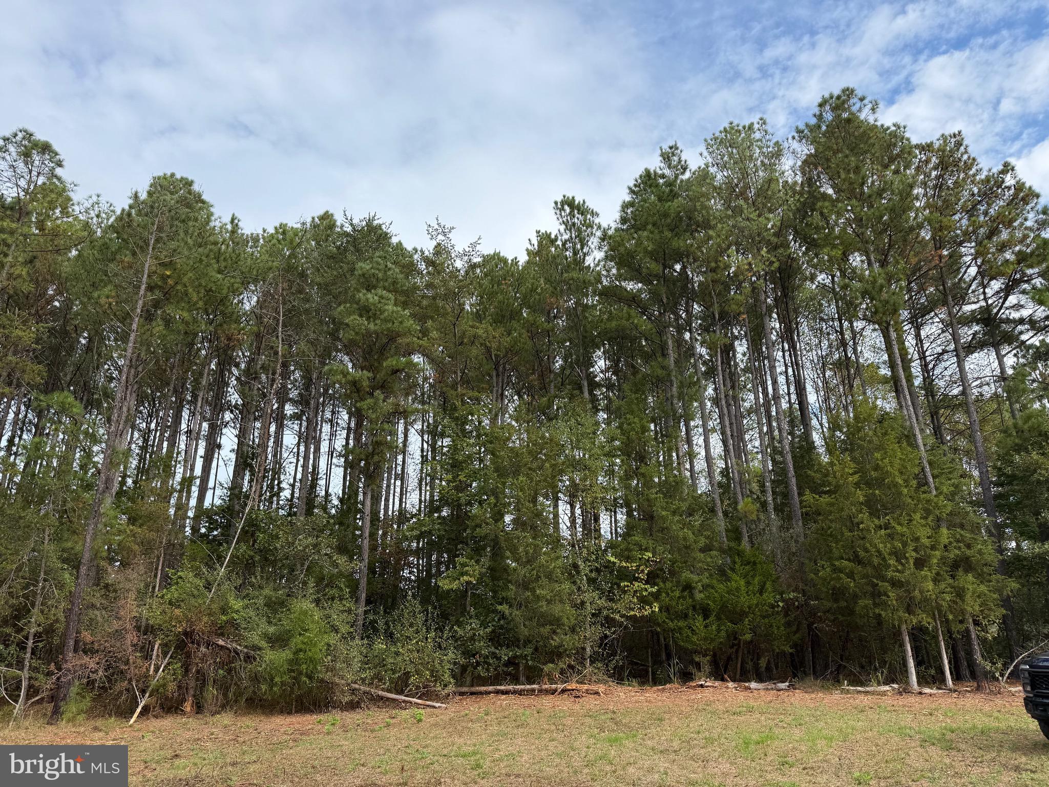 0 Old Green Mountain Road Esmont, VA 22937 - Photo 6 of 51