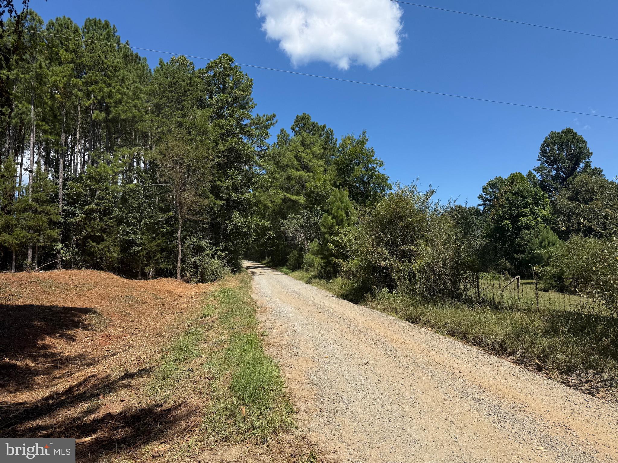 0 Old Green Mountain Road Esmont, VA 22937 - Photo 7 of 51