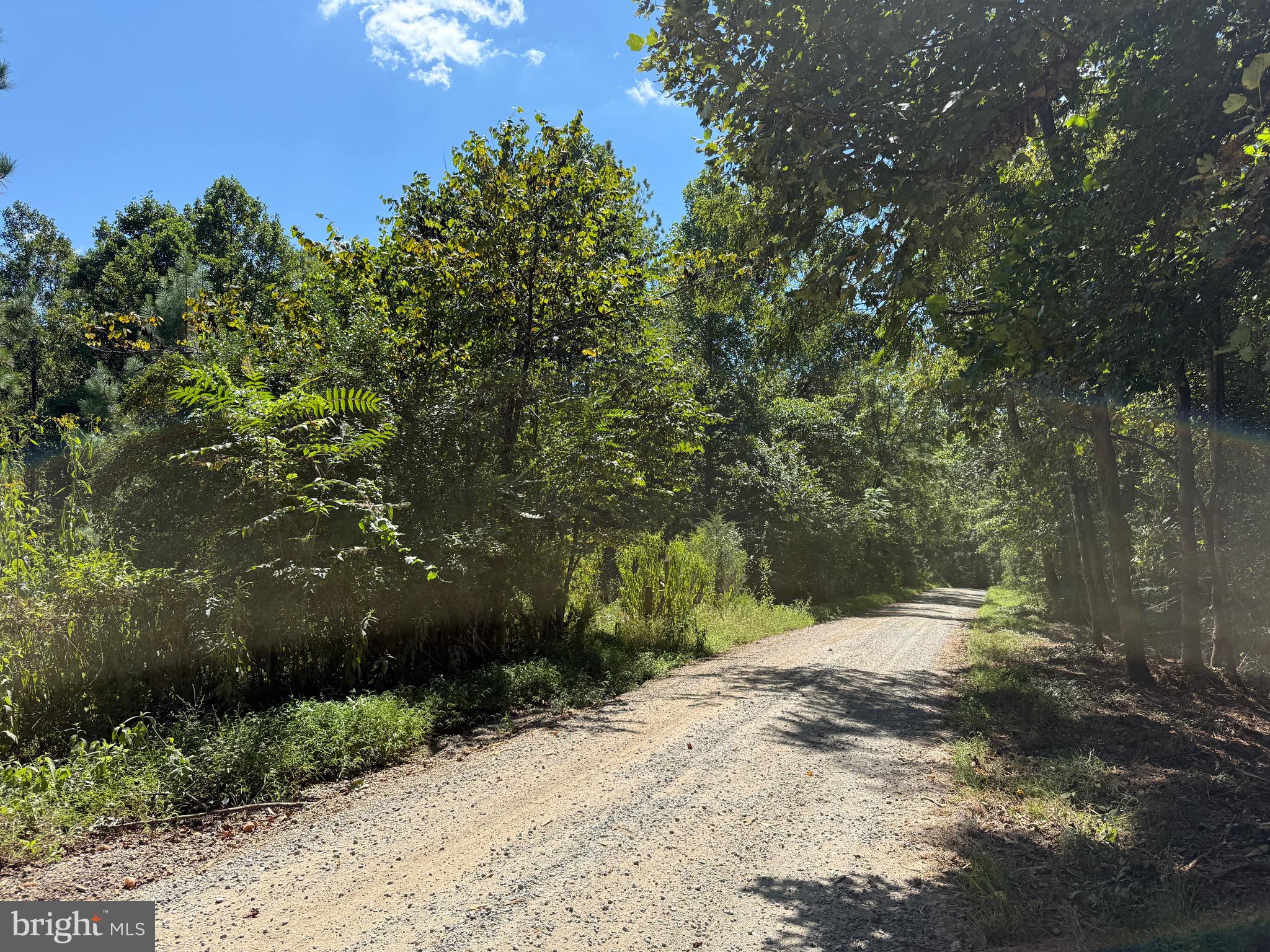 0 Old Green Mountain Road Esmont, VA 22937 - Photo 9 of 51