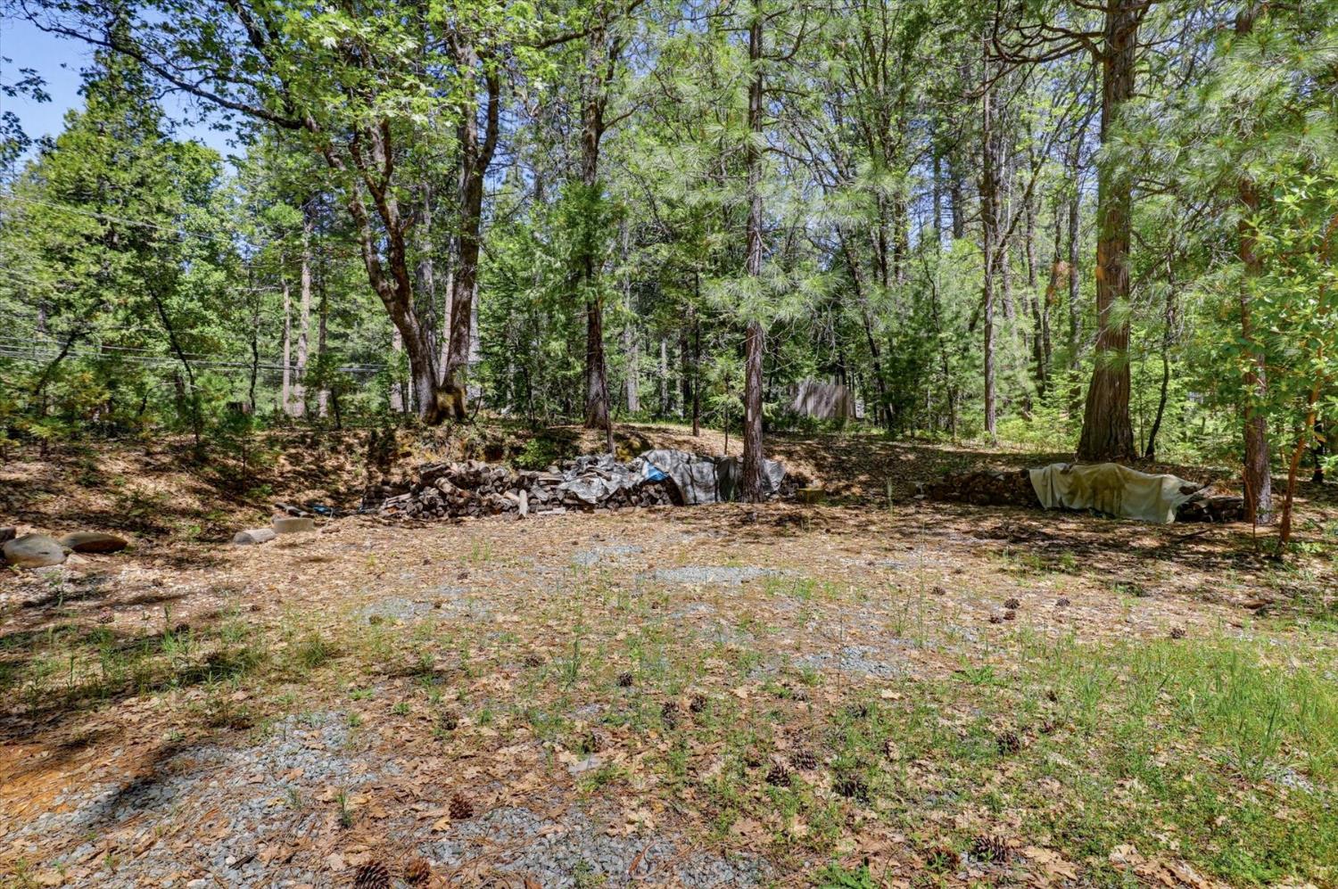 14517 North Bloomfield Road Nevada City, CA 95959 - Photo 53 of 78 a view of outdoor space and yard