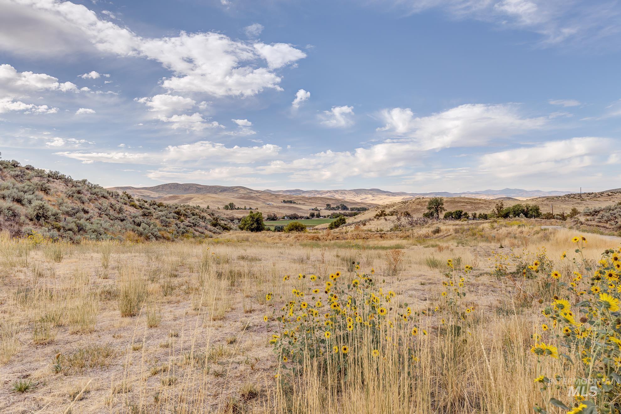 1587 Gentry Lane Weiser, ID 83672 - Photo 2 of 41 View of mountain background