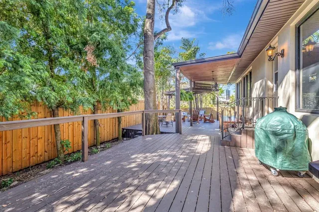 a view of a yard with plants and large trees