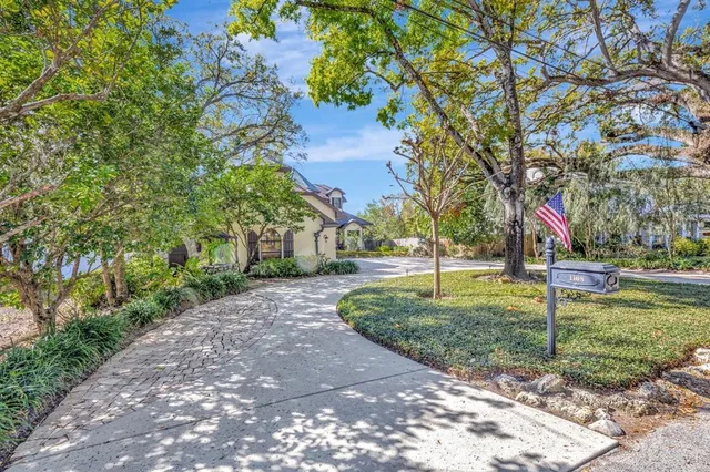 a view of a park with large trees