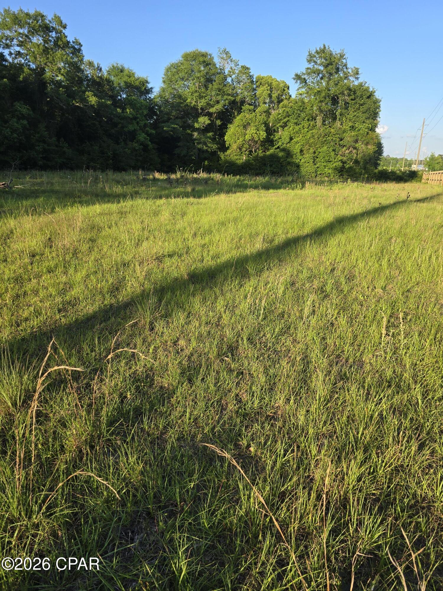 104 North Treadwell Road Bonifay, FL 32425 - Photo 6 of 9