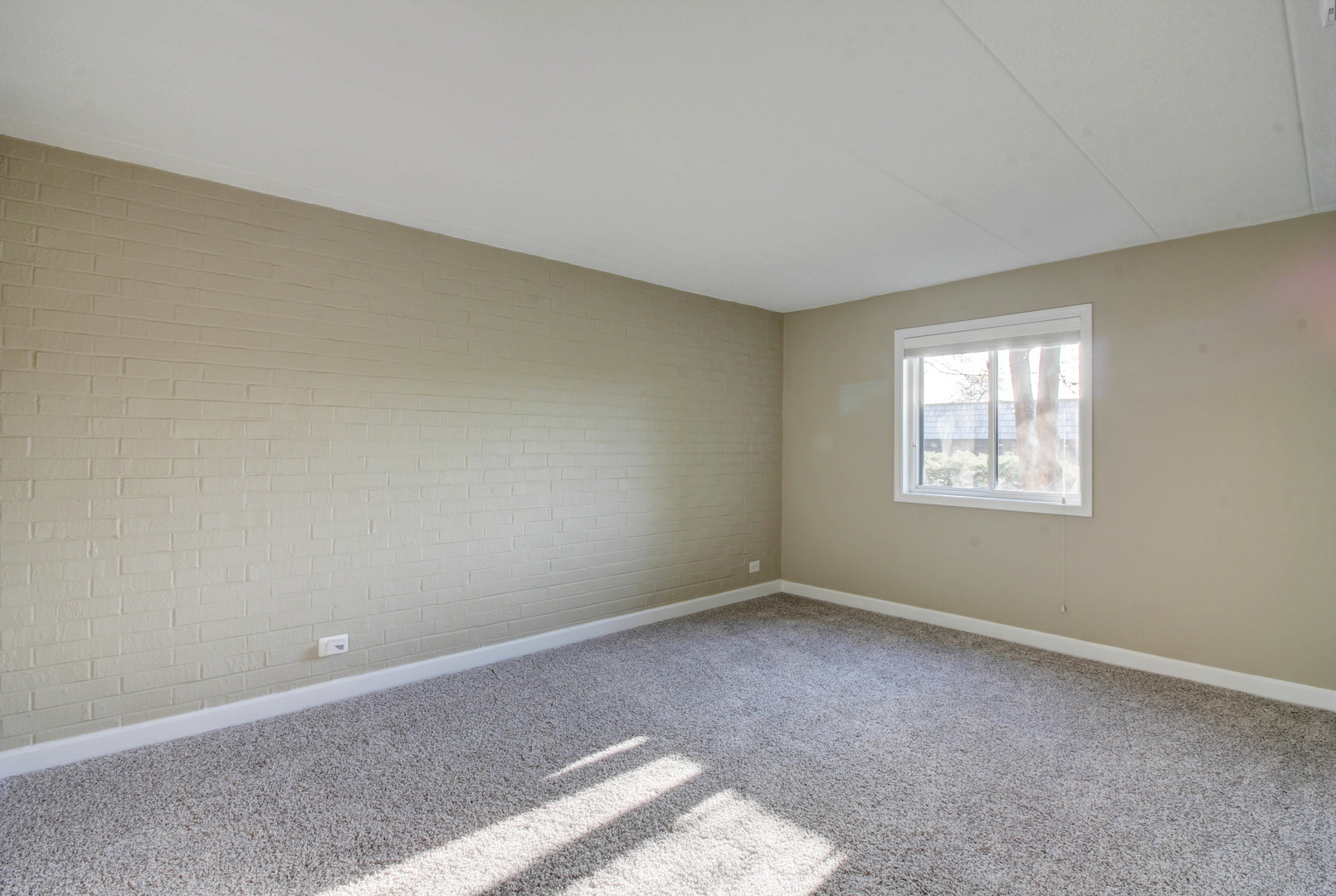 548 Timber Ridge Drive, Unit 106 Carol Stream, IL 60188 - Photo 13 of 24