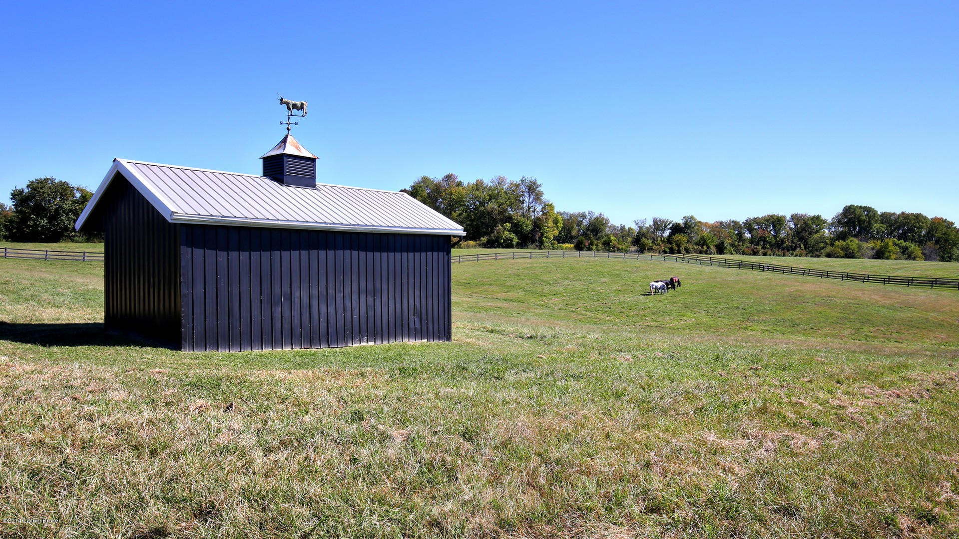 912 Webb Road Simpsonville, KY 40067 - Photo 33 of 43 IMG_7805