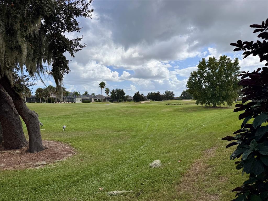 2005 Markridge Loop The Villages, FL 32162 - Photo 35 of 36 a view of outdoor space with green field and trees