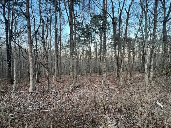 a view of outdoor space with lots of trees