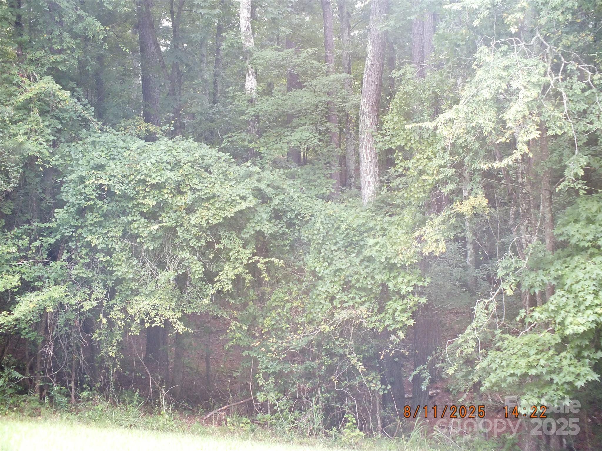 5034 State Rd S-29-20 Heath Springs, SC 29058 - Photo 32 of 43 a backyard of a house with lots of green space