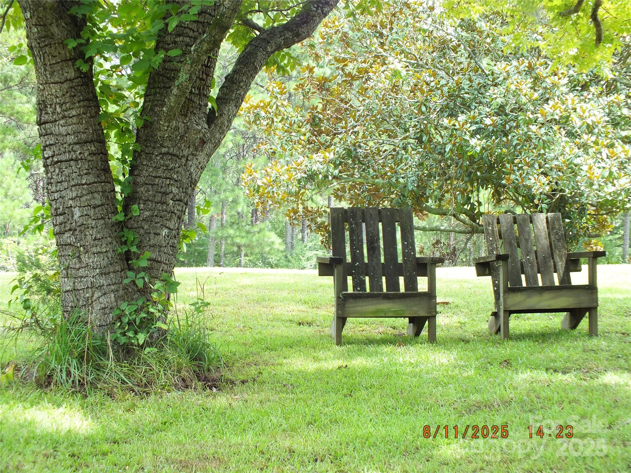 5034 State Rd S-29-20 Heath Springs, SC 29058 - Photo 36 of 43 a view of park benches sitting below a green tree