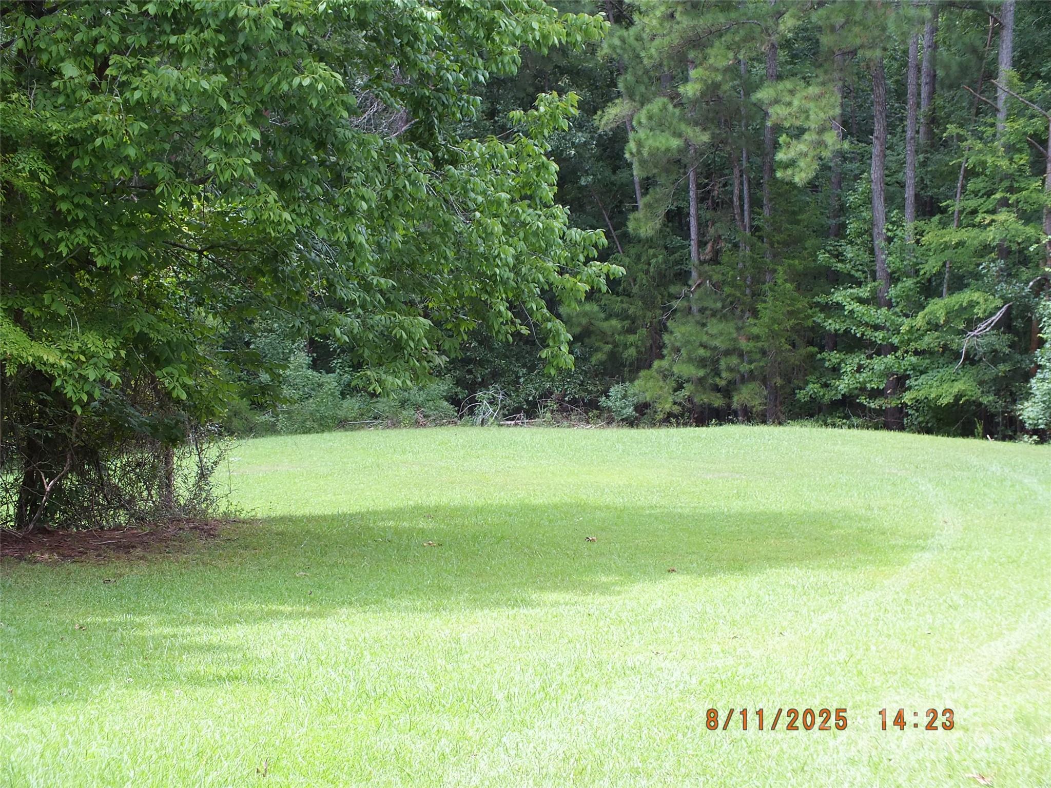5034 State Rd S-29-20 Heath Springs, SC 29058 - Photo 38 of 43 a view of a yard