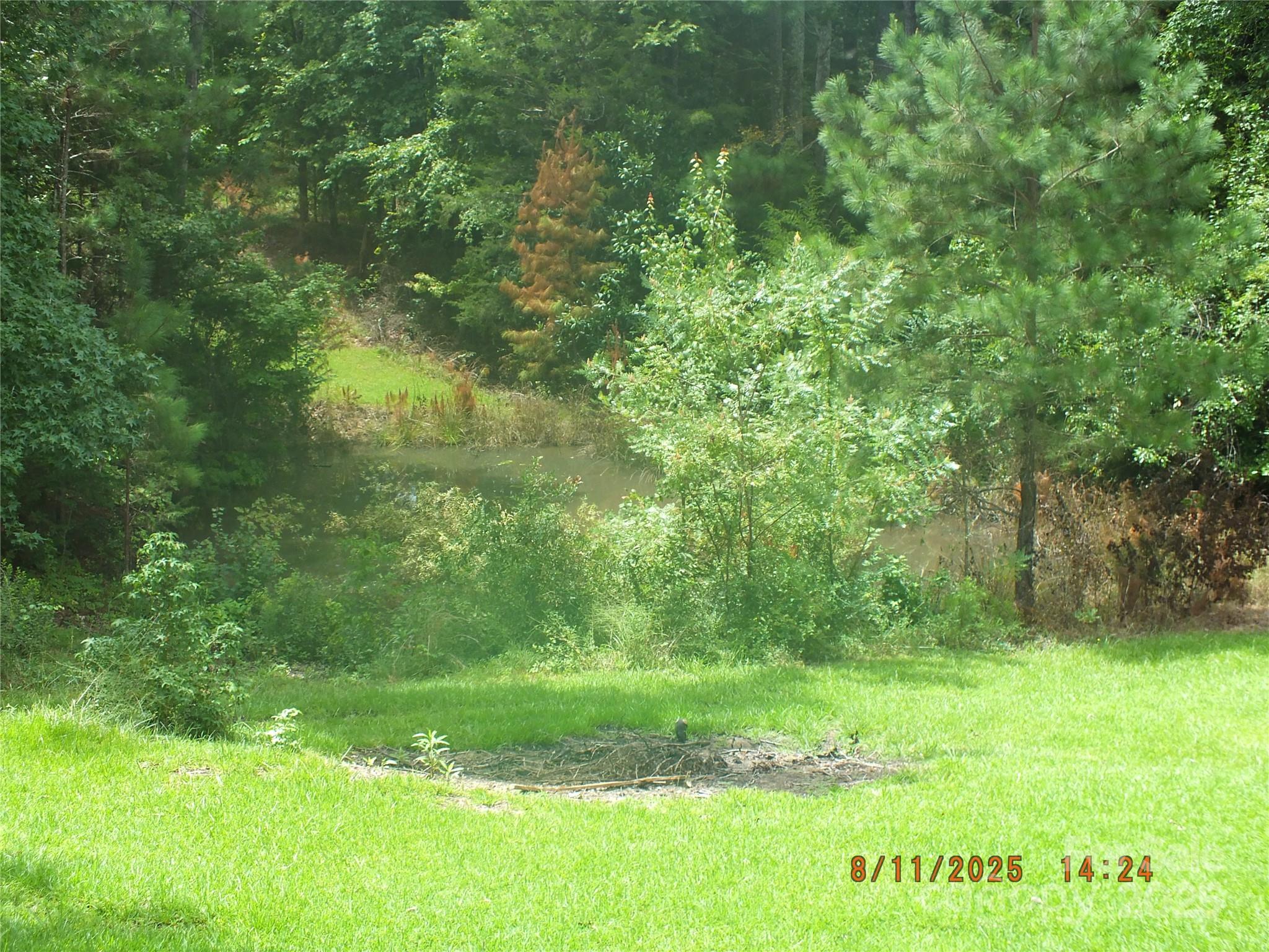 5034 State Rd S-29-20 Heath Springs, SC 29058 - Photo 39 of 43 a view of a lush green space