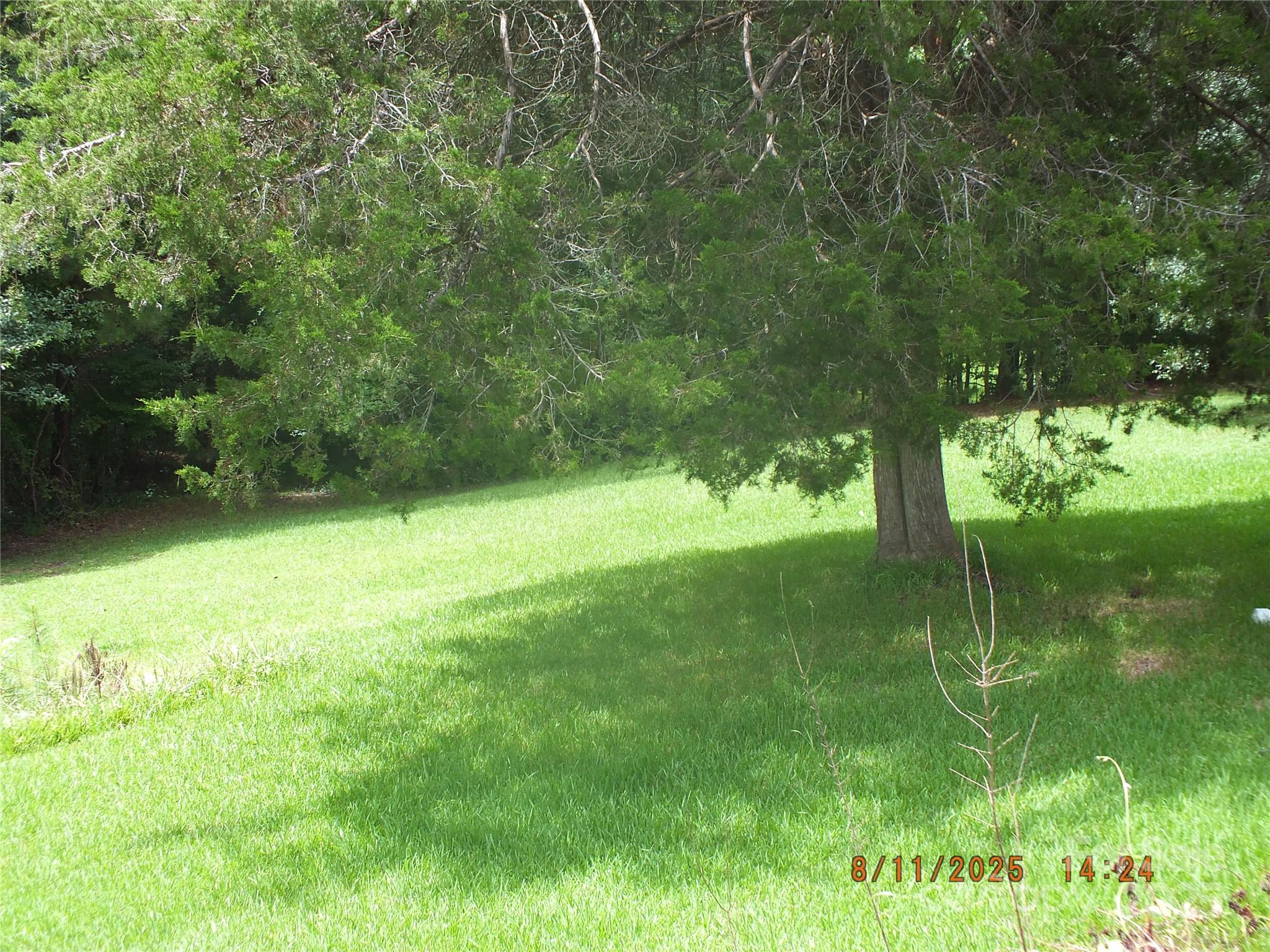 5034 State Rd S-29-20 Heath Springs, SC 29058 - Photo 40 of 43 a view of a lush green space