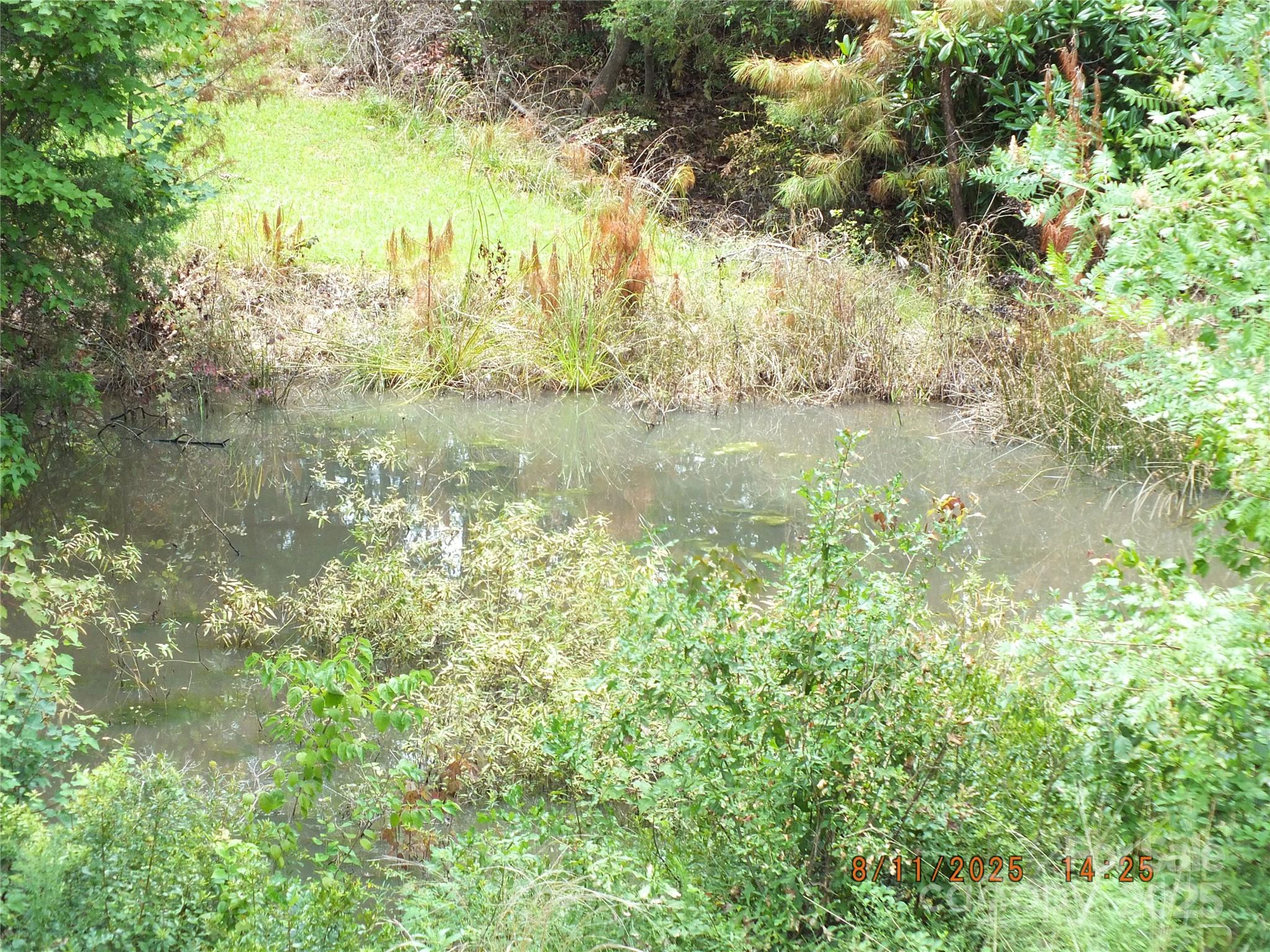 5034 State Rd S-29-20 Heath Springs, SC 29058 - Photo 42 of 43 a view of lake with green space