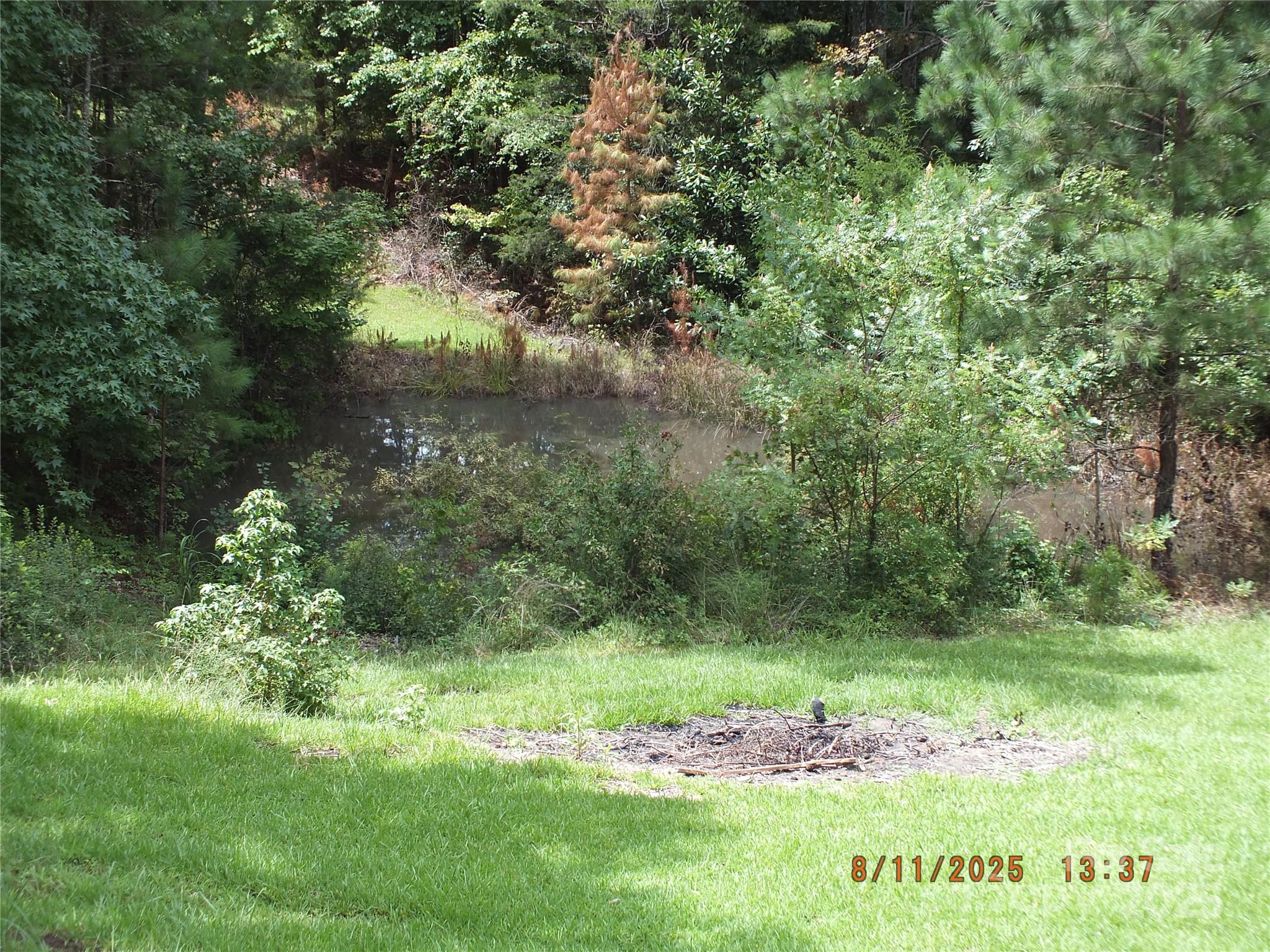 5034 State Rd S-29-20 Heath Springs, SC 29058 - Photo 43 of 43 a view of a lush green space