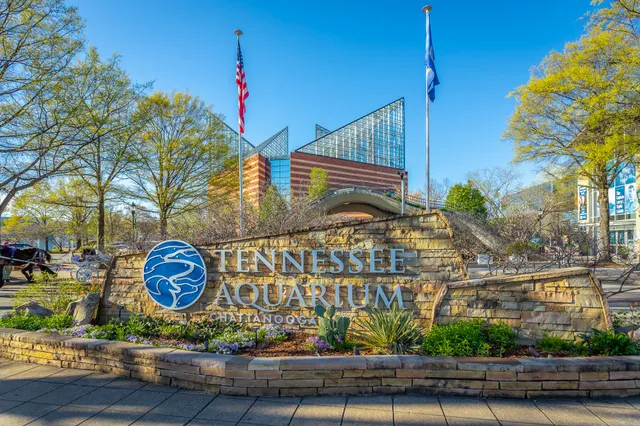 $400,000 | 129 Walnut Street, Unit 122, Chattanooga, TN 37403