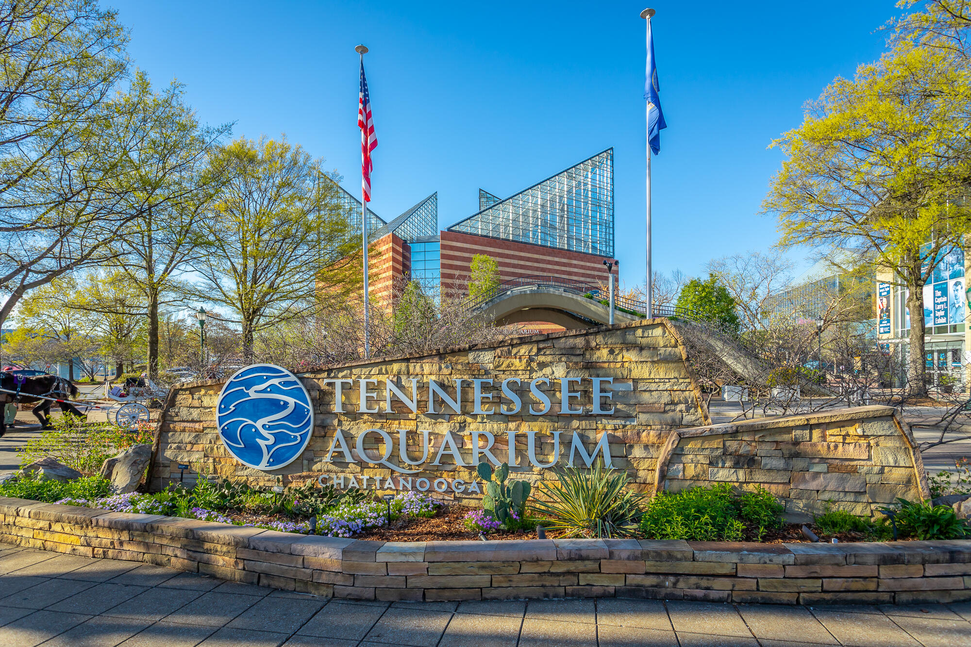 129 Walnut Street, Unit 122 Chattanooga, TN 37403 - Photo 42 of 73 Downtown Chattanooga